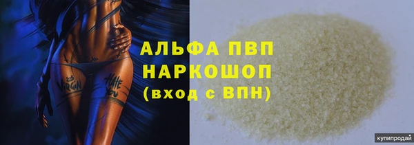 стафф Медвежьегорск